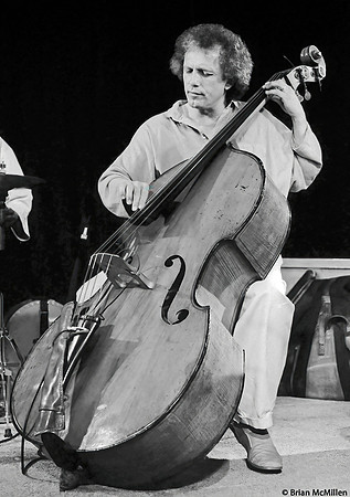 David Friesen Bajones